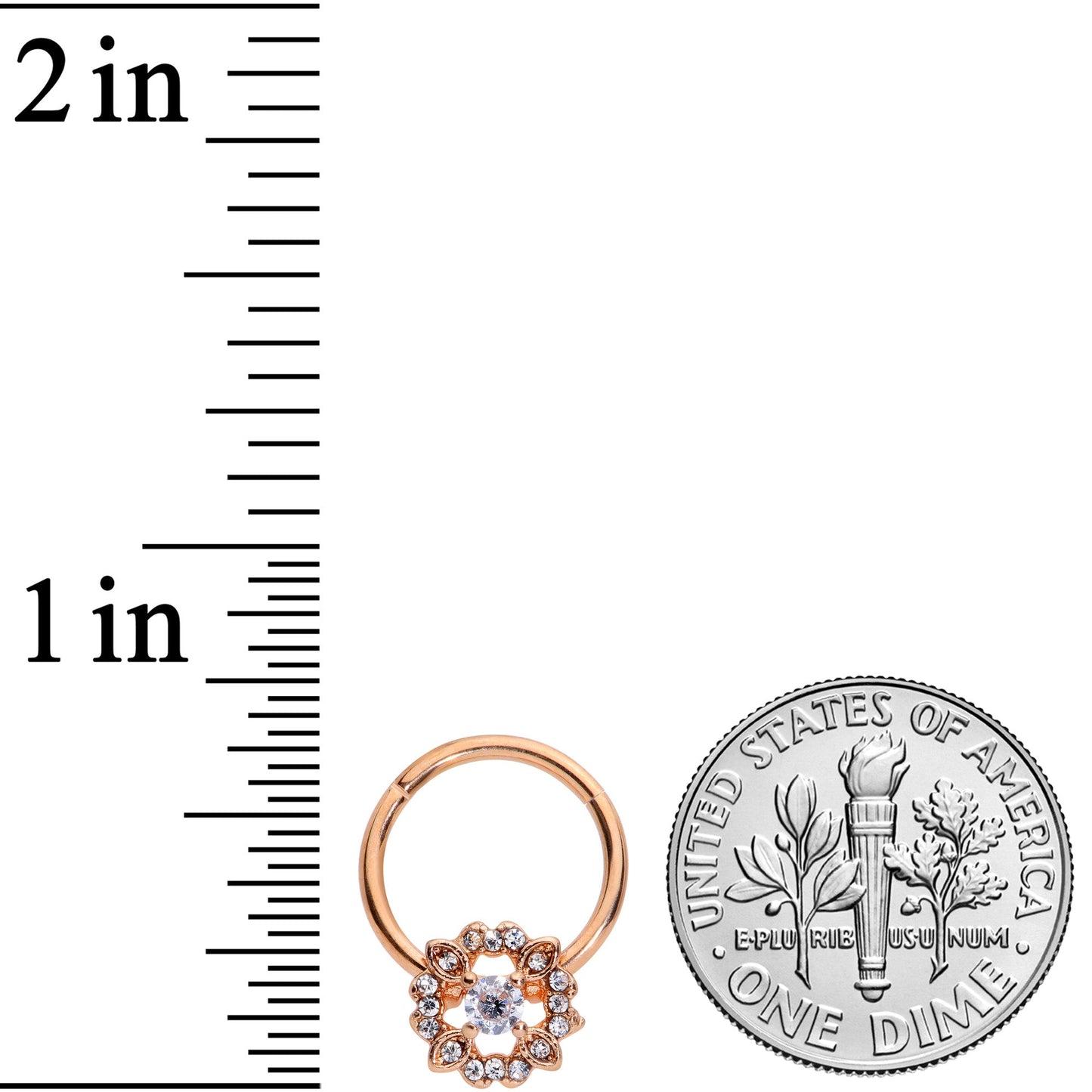 16G 3/8 Clear Gem Rose Gold Tone Wreath Hinged Segment Ring