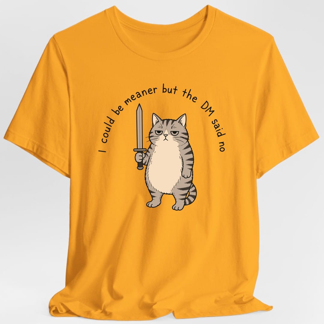 I Could Be Meaner But The DM Said No T-Shirt