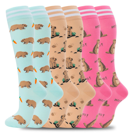 0A-0601- Compression Socks for Women Men Support Circulation 6 Pairs Socks For Travel