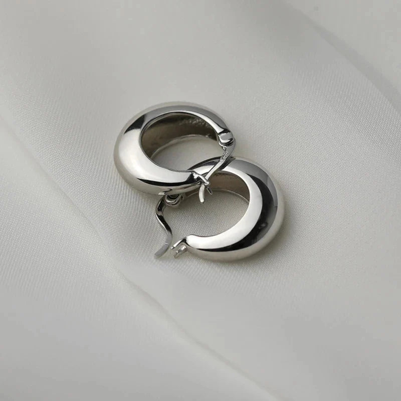 925 Sterling Silver plated Chunky Hoop Earrings for Women Geometric Circle Punk Ear Jewelry Party Gifts 2021 New Dropshipping