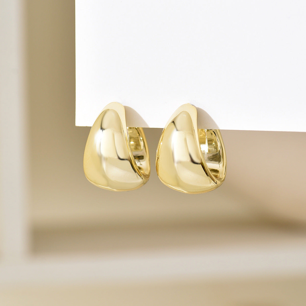 Ins Viral Luxury Earrings, High-End Beach Vacation Style, Geometric Bold Studs & Hoops For Women