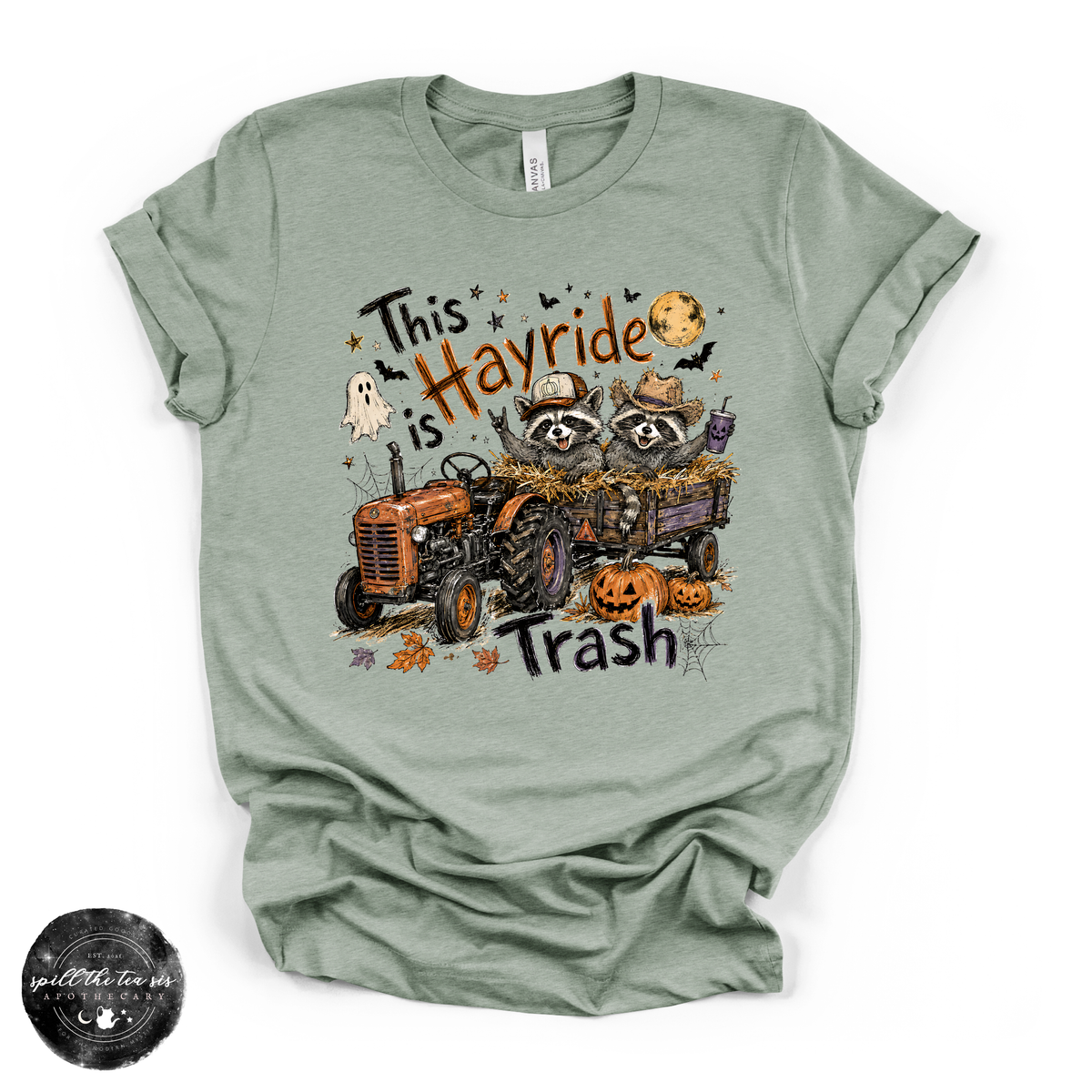 This Hayride Is Trash Tee | Funny Raccoon Fall Graphic T-Shirt